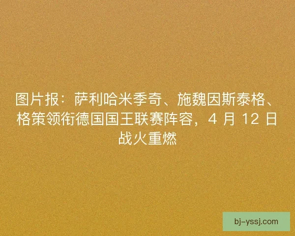 图片报：萨利哈米季奇、施魏因斯泰格、格策领衔德国国王联赛阵容，4 月 12 日战火重燃