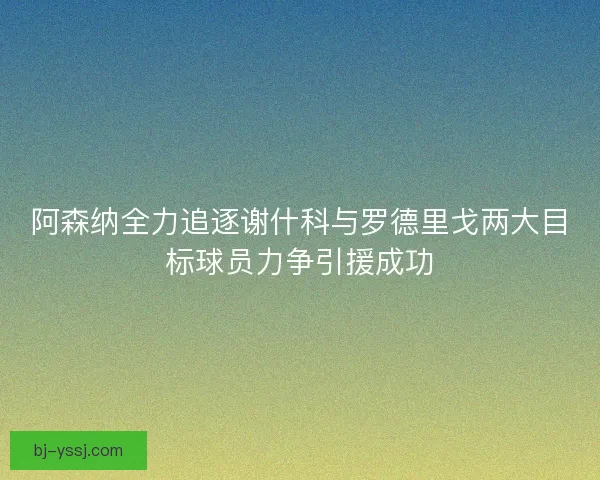阿森纳全力追逐谢什科与罗德里戈两大目标球员力争引援成功