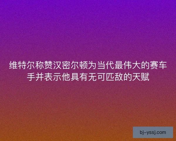 维特尔称赞汉密尔顿为当代最伟大的赛车手并表示他具有无可匹敌的天赋